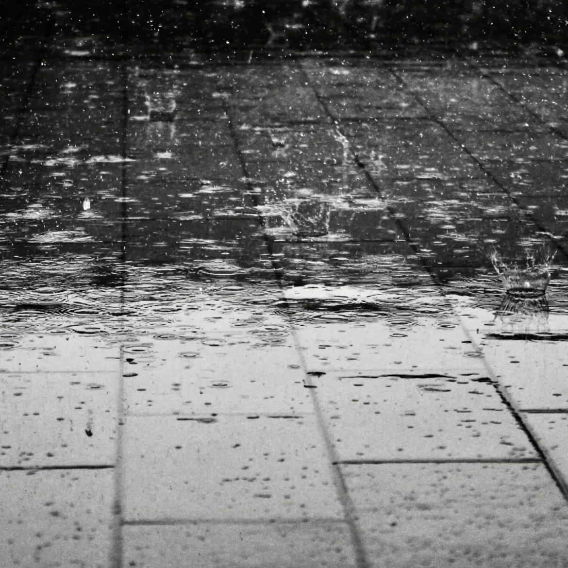 wateroverlast door regen in West-Brabant
