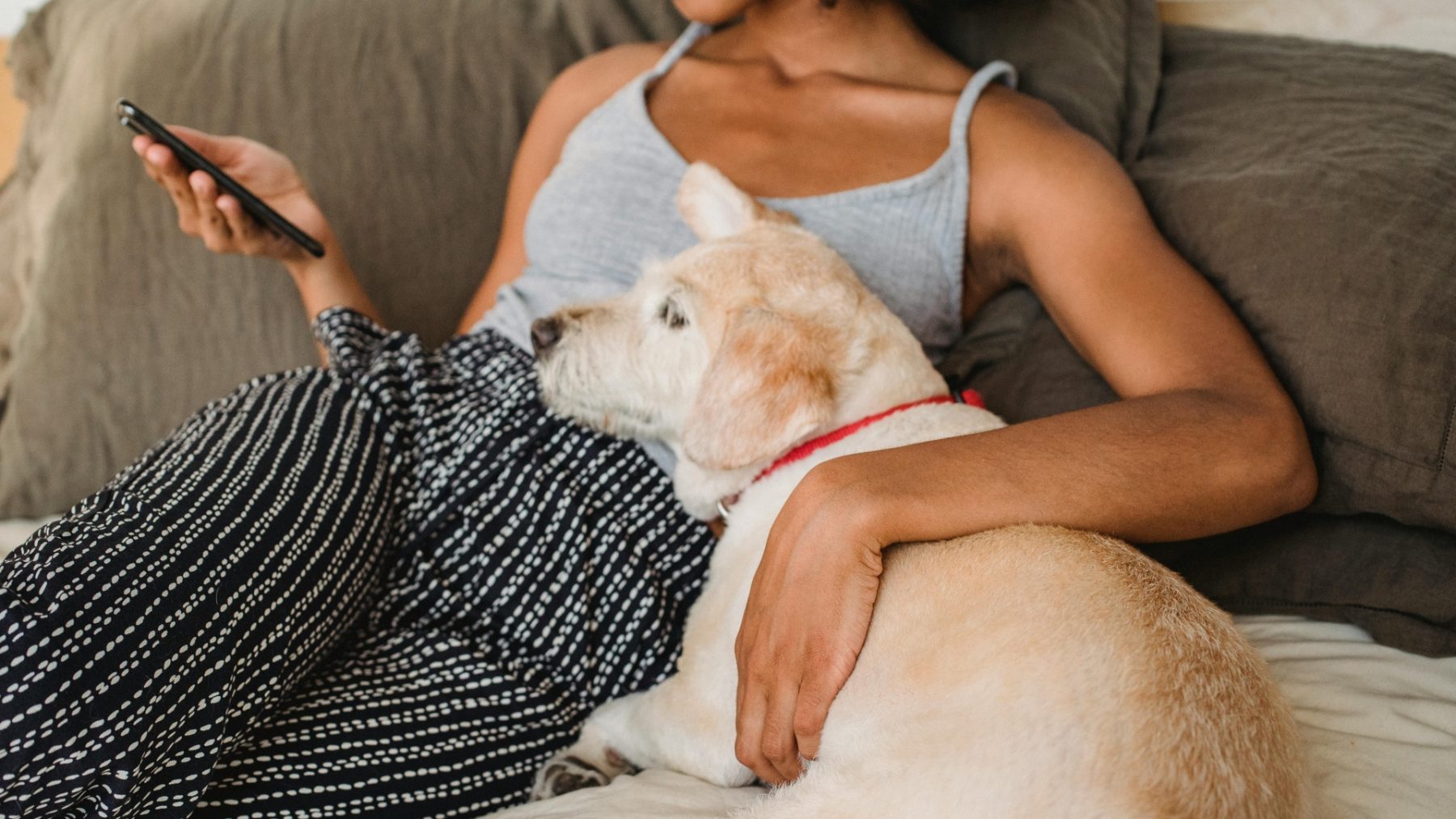 tikkie te veel wilma vrouw met hond op de bank