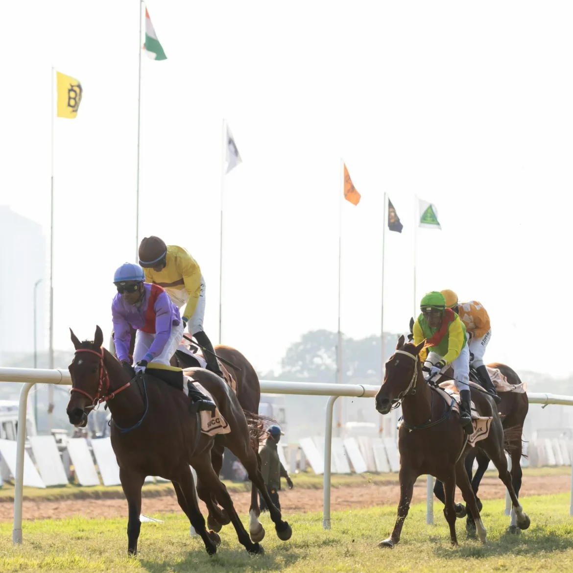Racepaarden