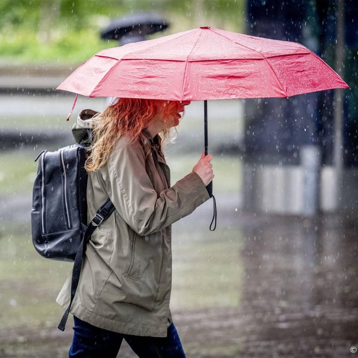 Regen in Nederland