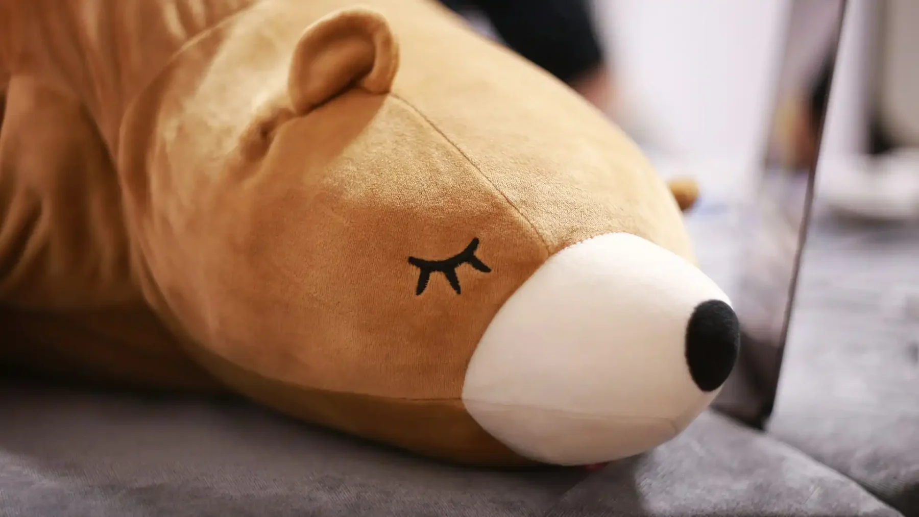 Man en vrouw uit Emmen verdacht van misbruik oppaskind (4)