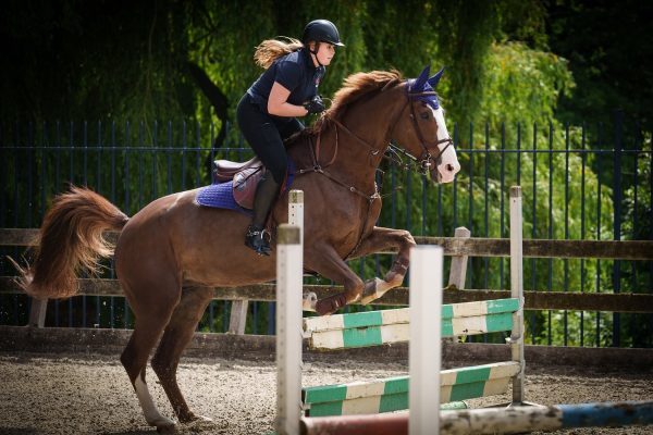 2021-06-22-amalia-paard-RVD-02