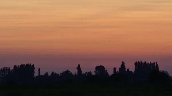 smog nederland noordoosten