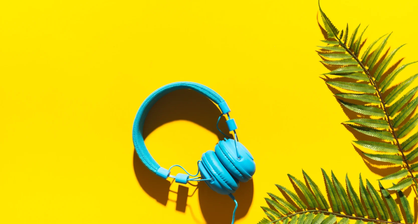 Professor Podcast tipt deze beste podcasts voor de zomer