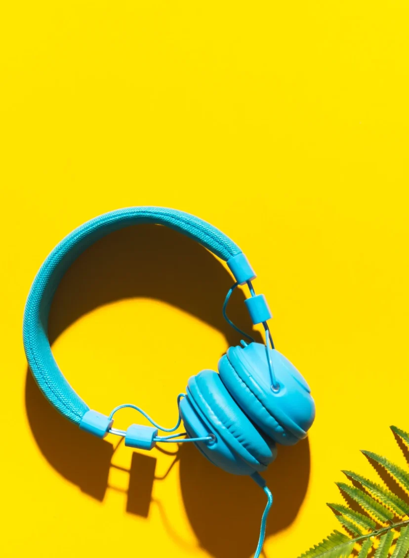 Professor Podcast tipt deze beste podcasts voor de zomer