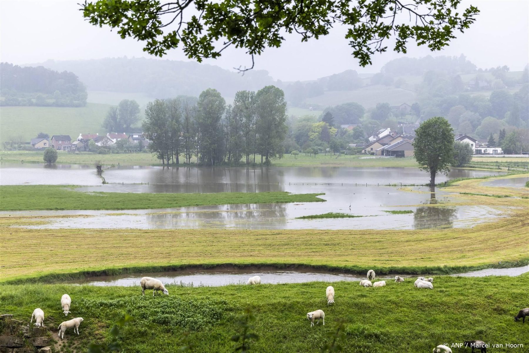 Code geel in deze drie provincies vanwege zware onweersbuien