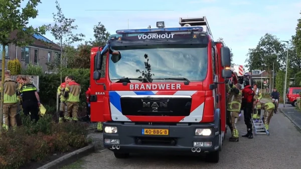 heldendaad door een jongen in Voorhout