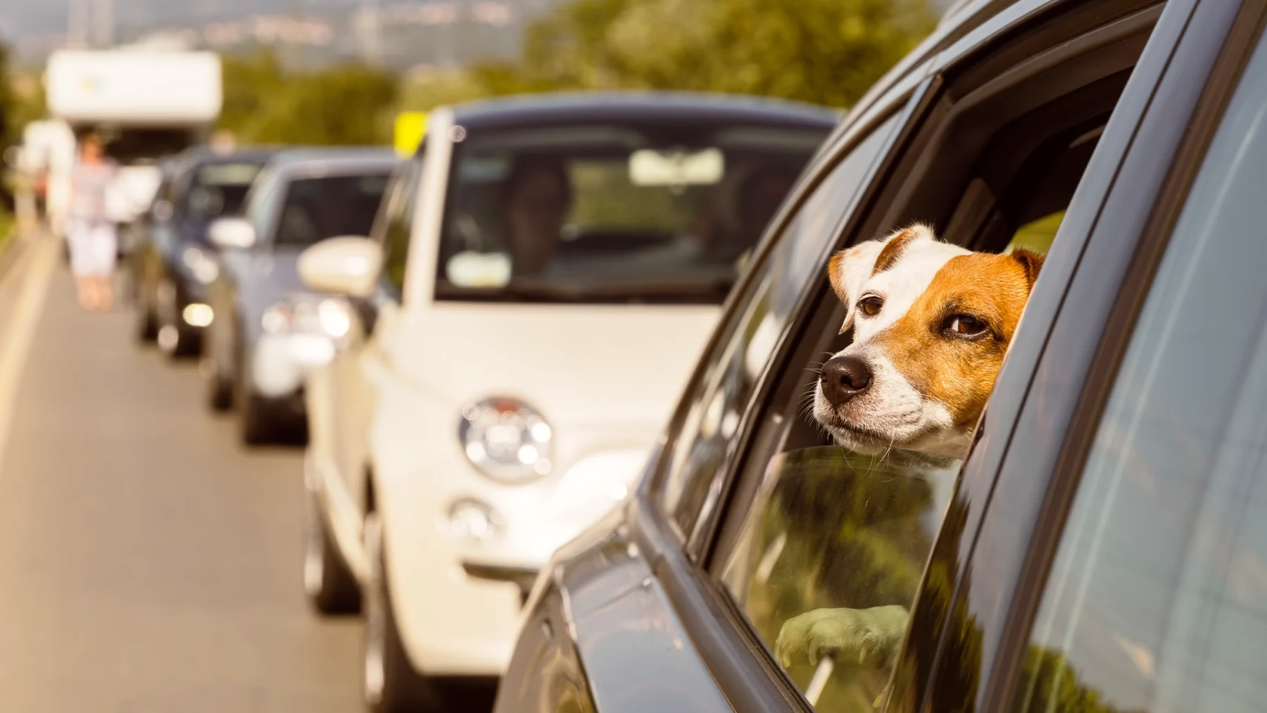 De horreur: Duitse ANWB waarschuwt vakantiegangers voor duizenden files