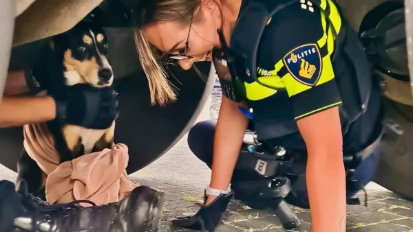 politie zoetermeer