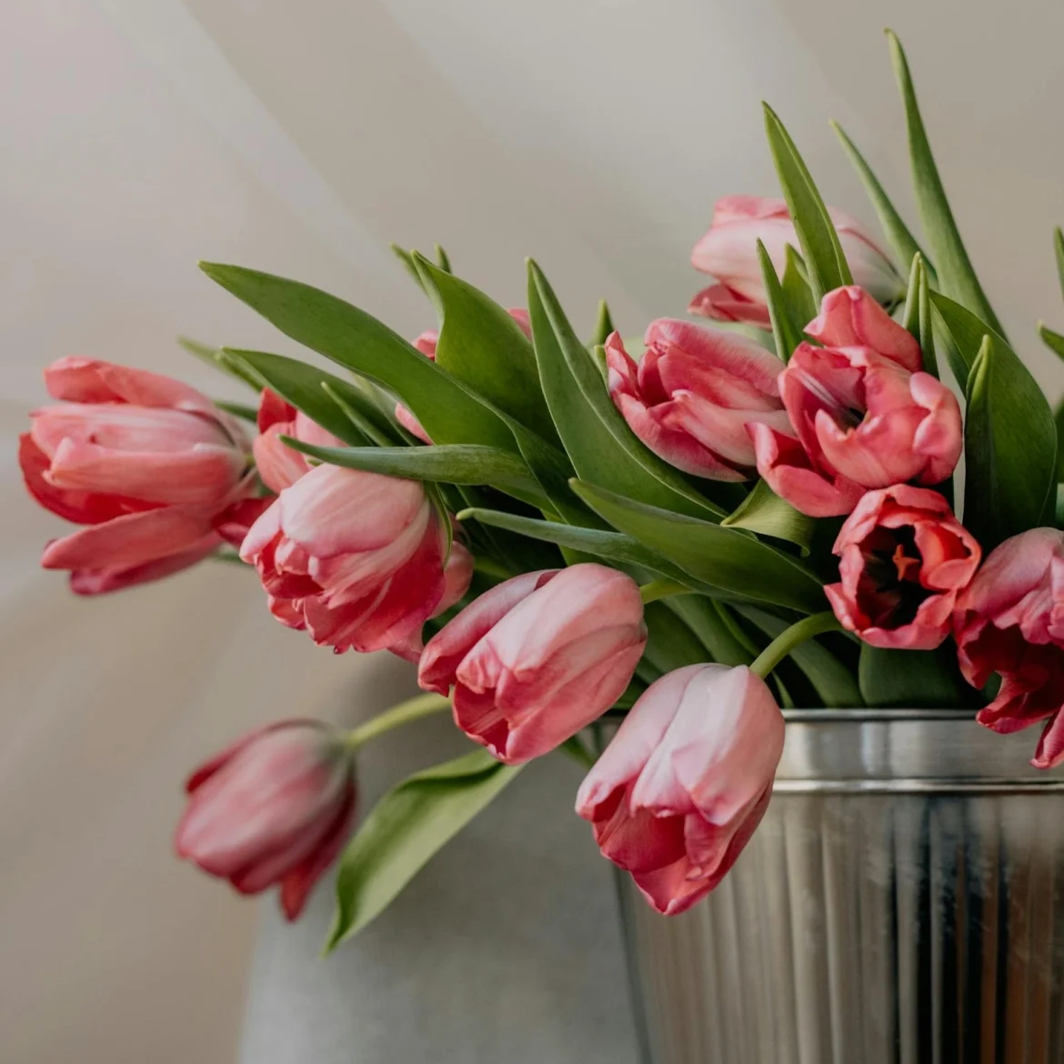 B&B vaas met tulpen