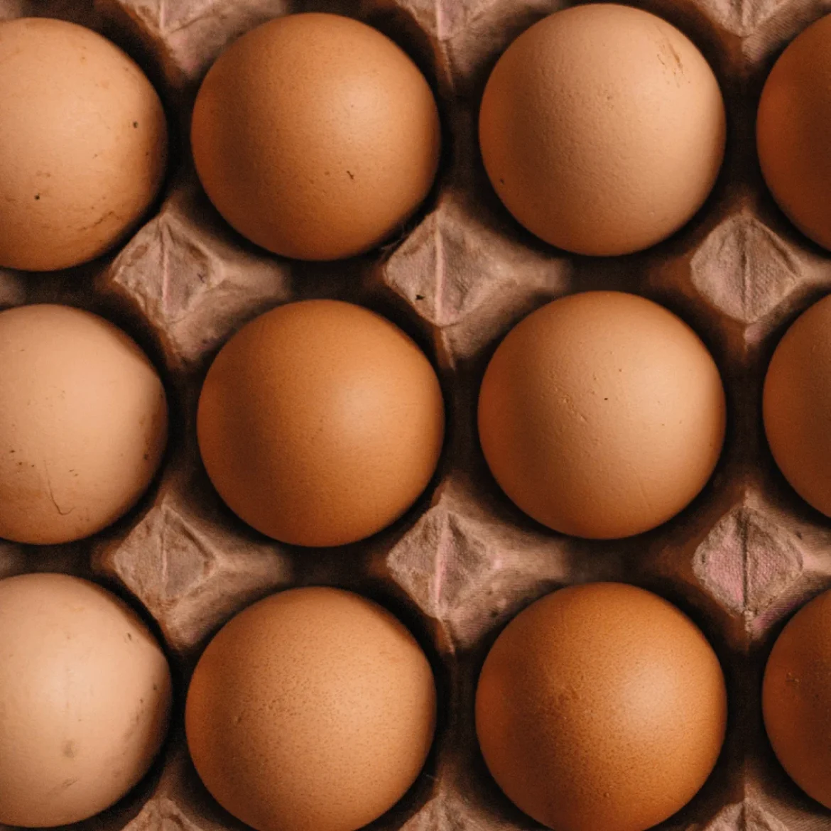 Prangende levensvraag na Pasen: hoe lang kun je gekookte eieren bewaren?