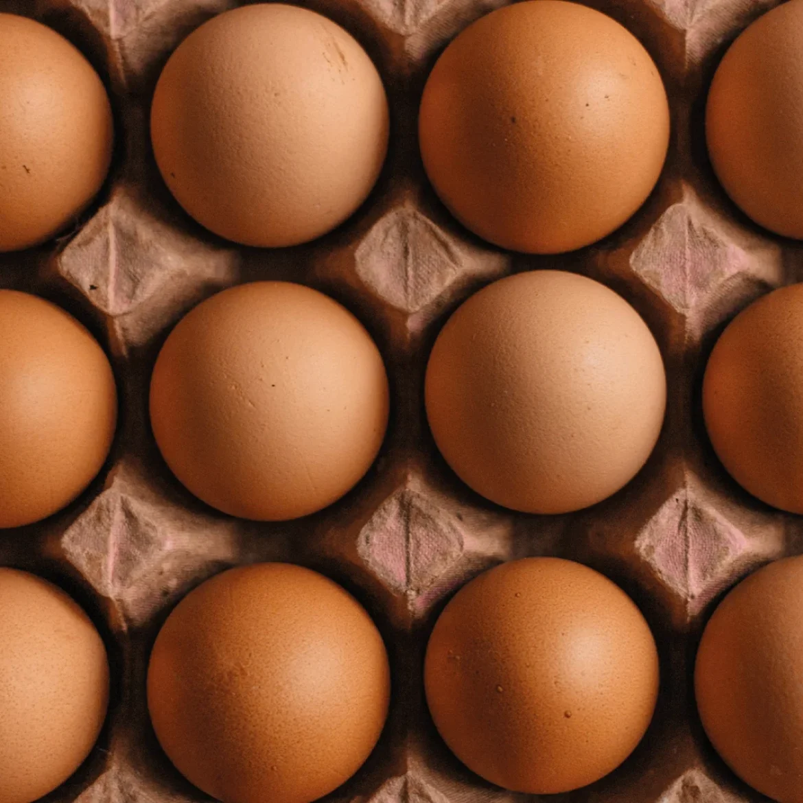 Prangende levensvraag na Pasen: hoelang kun je gekookte eieren bewaren?