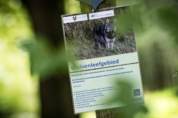 DNA-analyse bevestigt betrokkenheid wolf bij incident Austerlitz