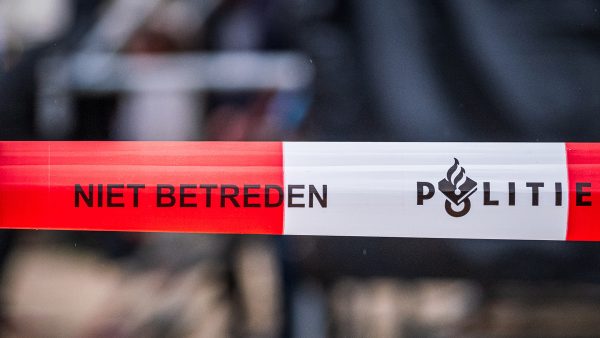 Politielint