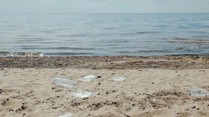 Thumbnail voor De Middellandse Zee is vervuild met microplastics: is zwemmen nog wel veilig?