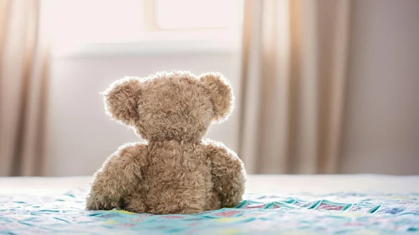 Teddybeer