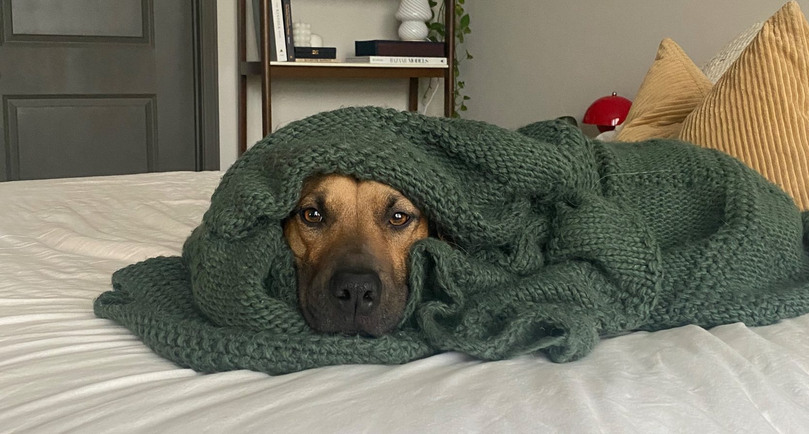warm knuffelen