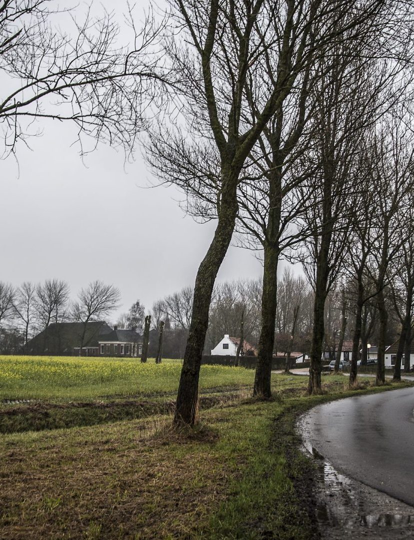 gevoelstemperatuur vriespunt