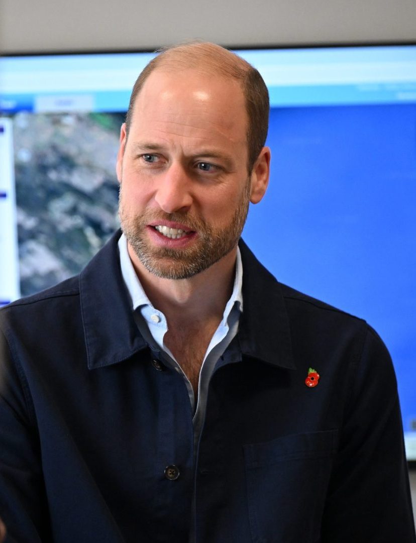 prins william
