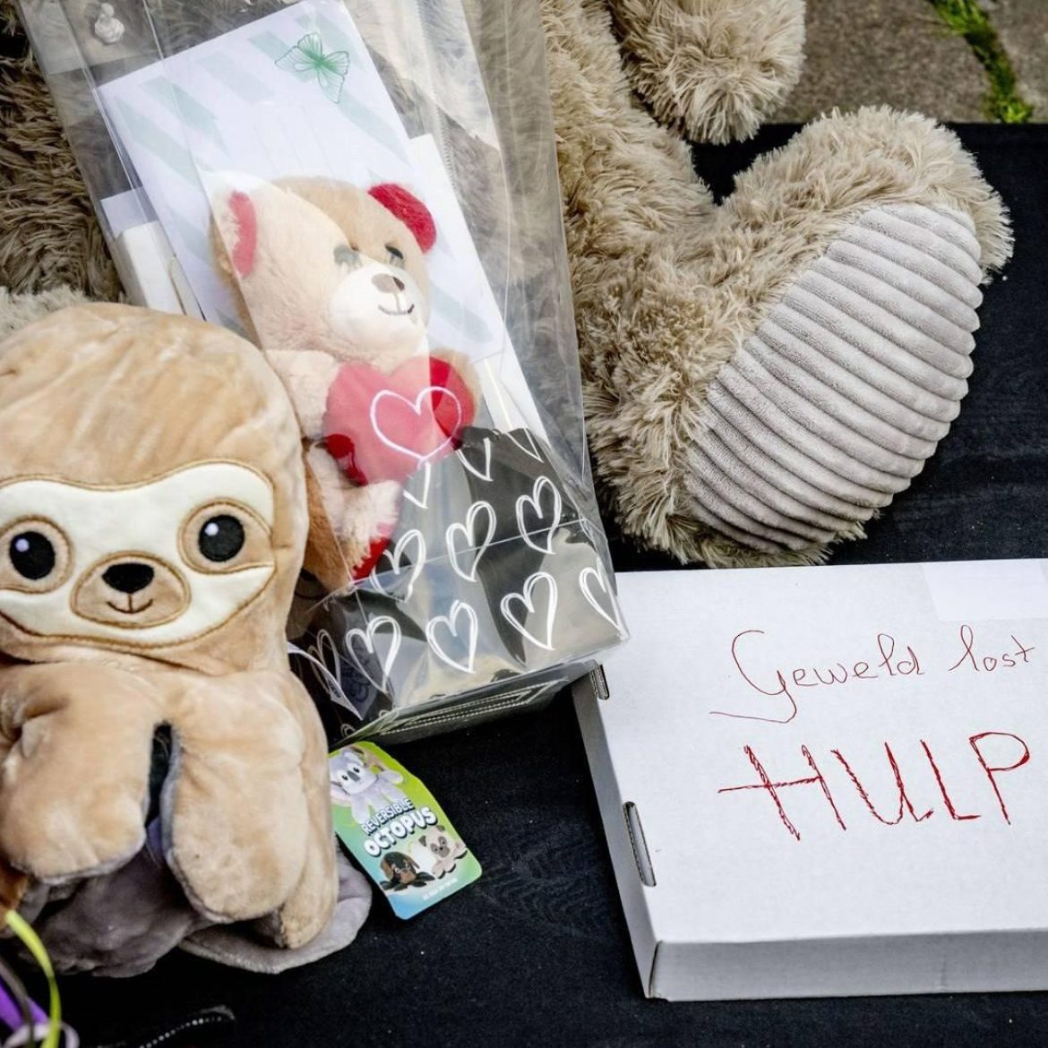 pleegmeisje vlaardingen