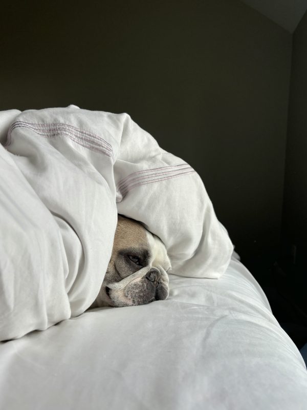 Hé schone slaper, wist je dat jouw beauty sleep echt werkt? De wetenschap bewijst het