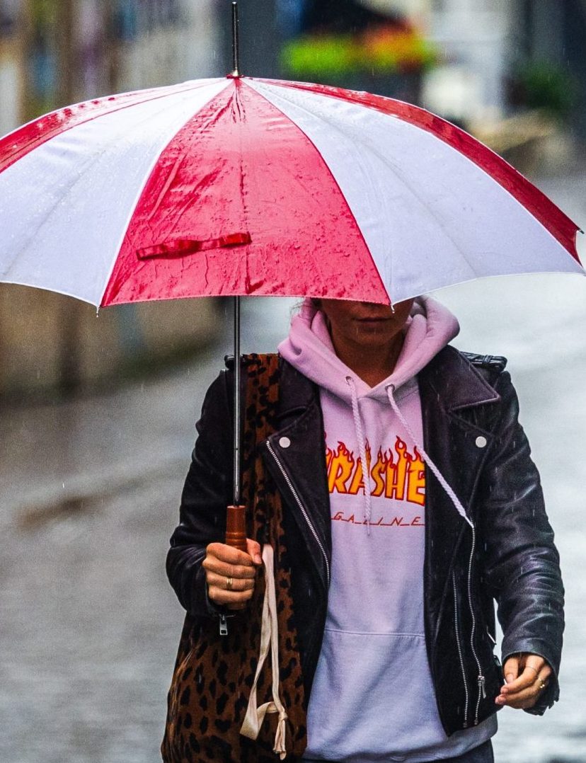 grauwe winter record