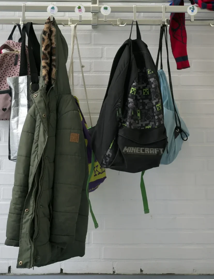 Nieuwe pabo-opleidingen