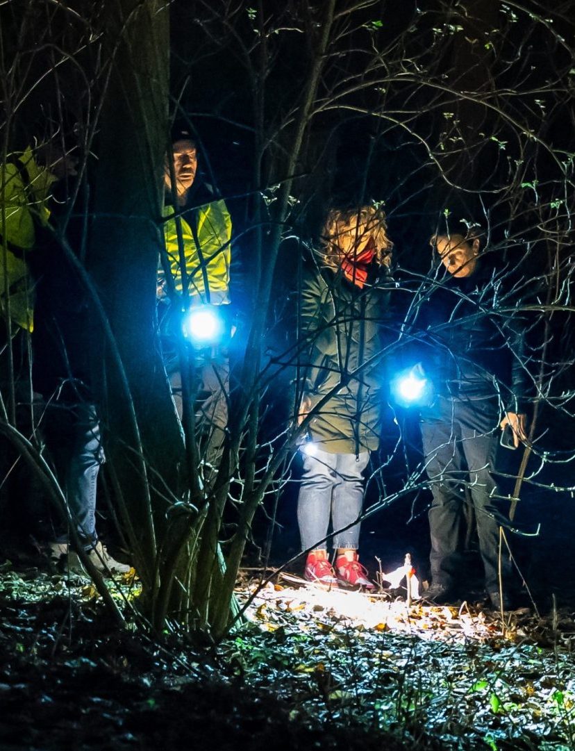 marjolein vermist rotterdam gevonden