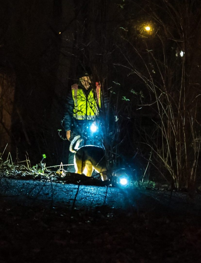 vermist marjolein gevonden rotterdam
