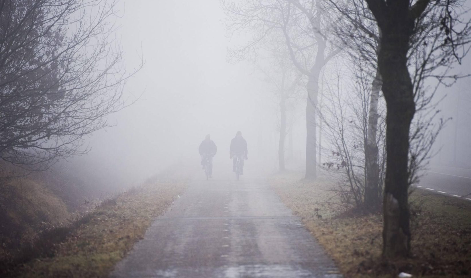 Code geel om dichte mist in Noord-Holland, Brabant en Friesland