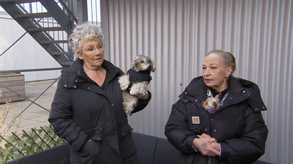 'Mr. Frank Visser doet Uitspraak'