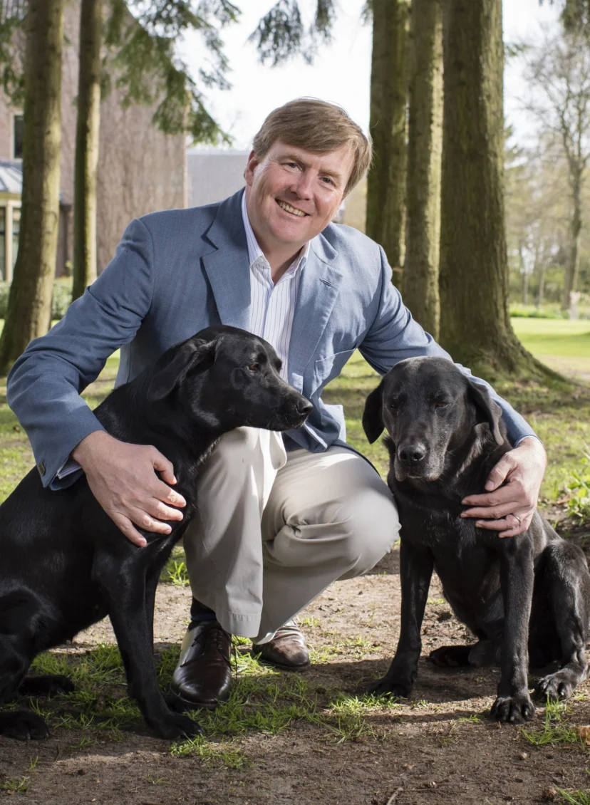 Labarador Nala van koninklijk gezin overleden