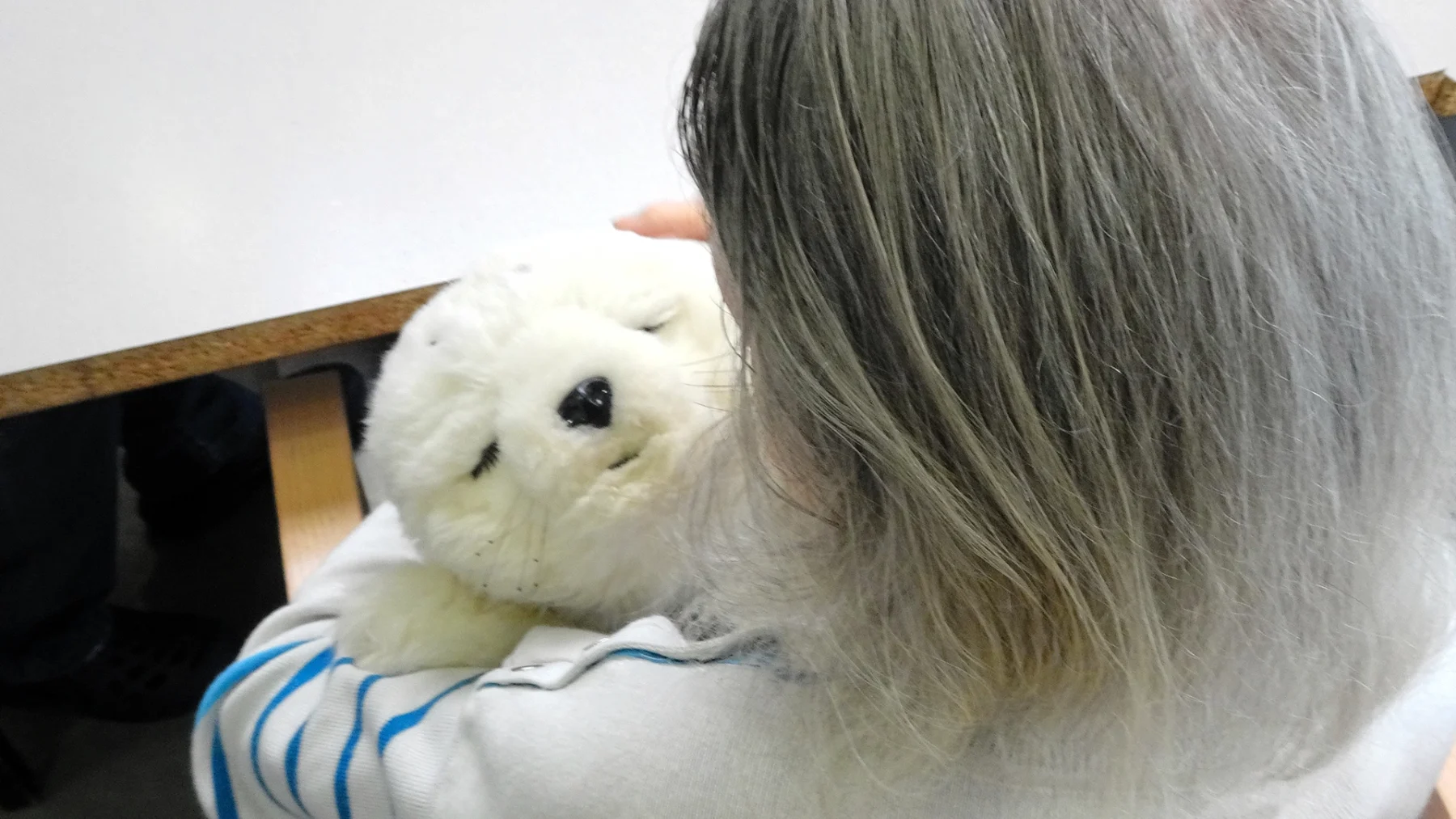 Oproep: heb jij (of een geliefde) baat bij een robotknuffel?