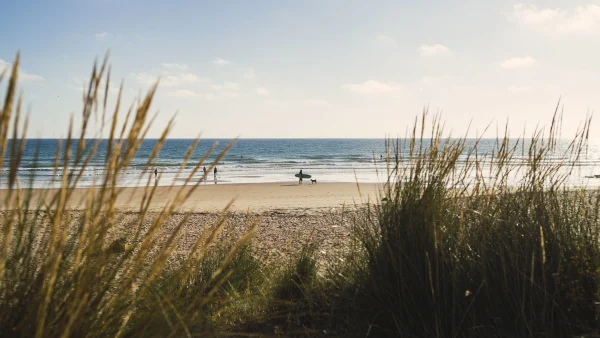 strand