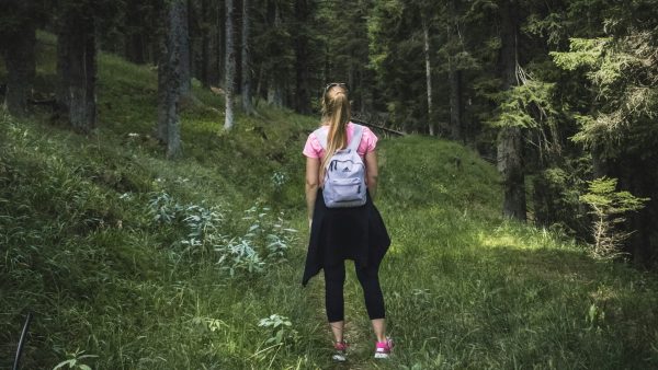 Pas op: Teken zijn weer actief – zo bescherm je jezelf deze lente en zomer