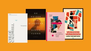Thumbnail voor De ideale thriller voor op een strandbedje (en nog meer héérlijke boeken die je niet wilt wegleggen)