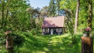 Thumbnail voor Wonen als Hans en Grietje? Dít prachtige boshuis maakt dat sprookje waar