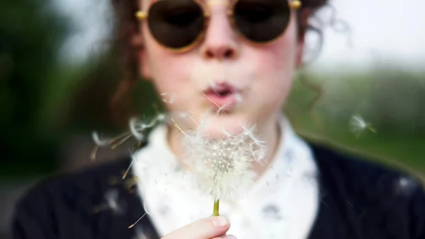 Zijn pollen gevaarlijker dan we denken? Onderzoek naar oversterfte gestart
