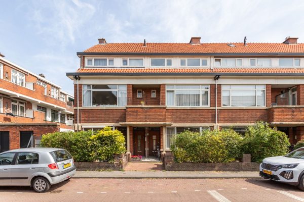 joni tidde kopen zonder kijken 2