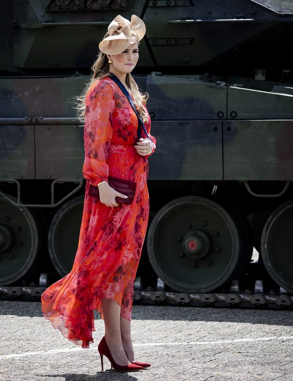 Koning en prinses Amalia reiken nieuwe standaard uit