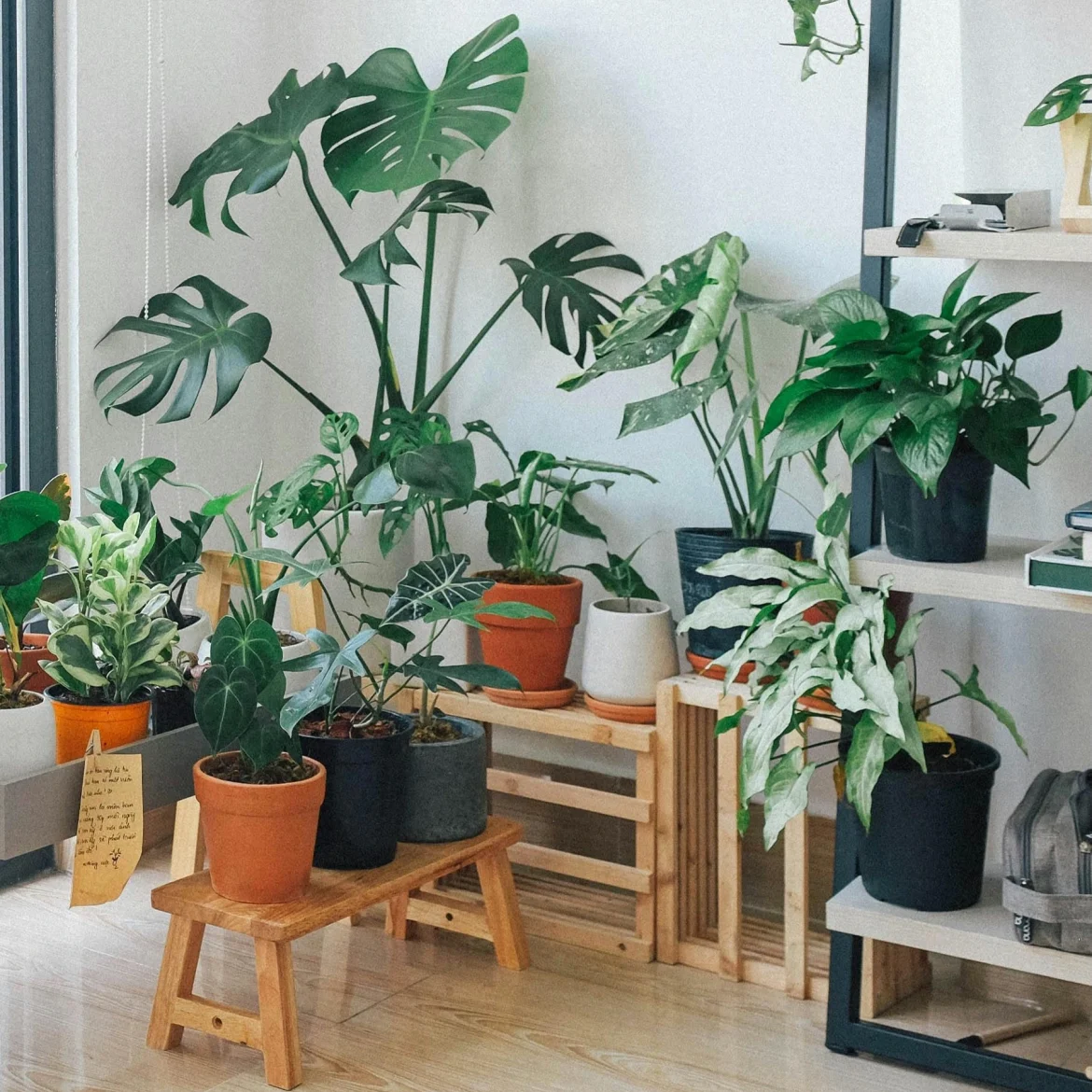 Planten vakantie