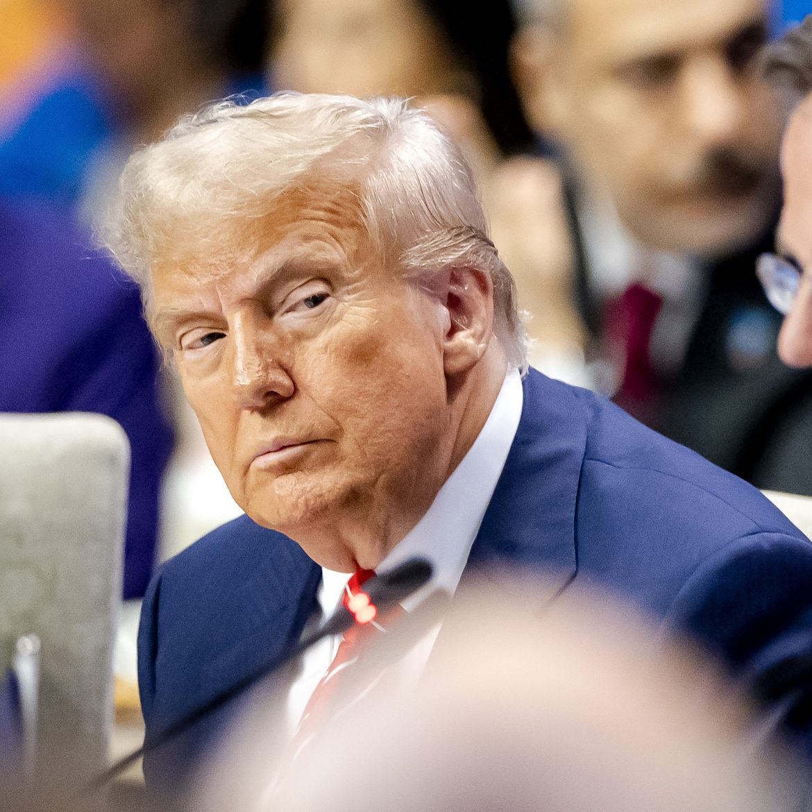 mark rutte donald trump daddy jort kelder