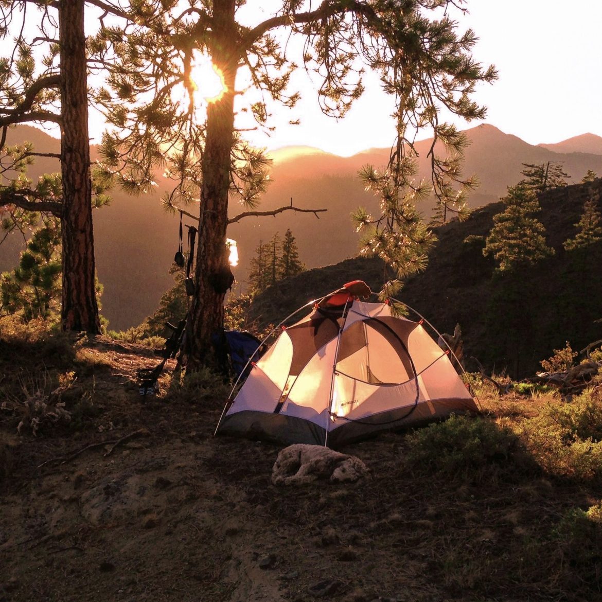 Tent in de natuur tijdens de zonsondergang