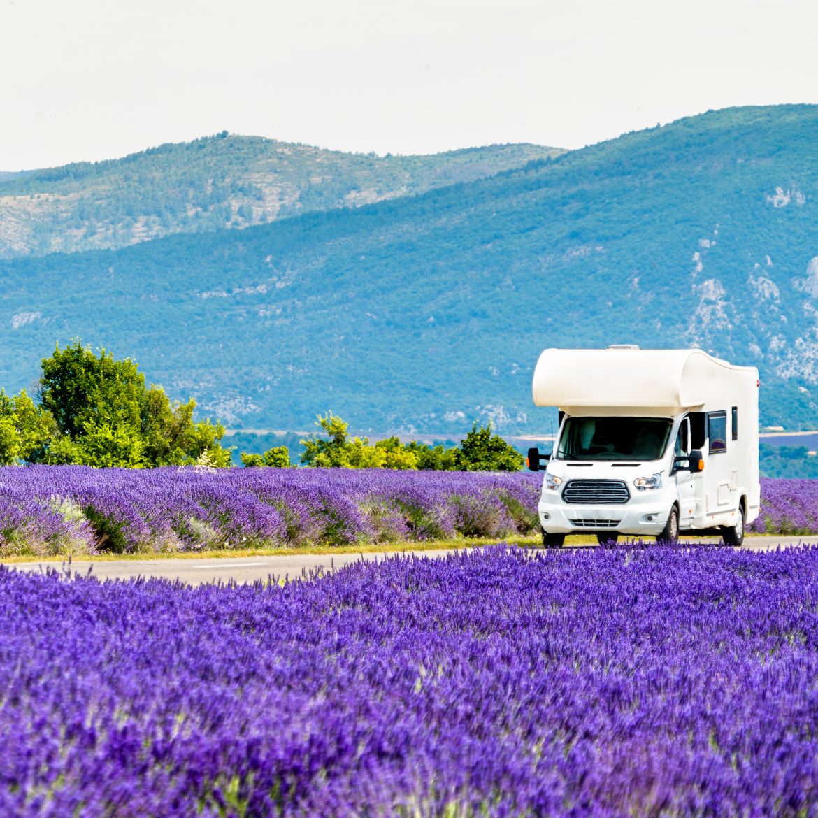 Campervan rijdt door een lavenderveld in de provance, frankrijk