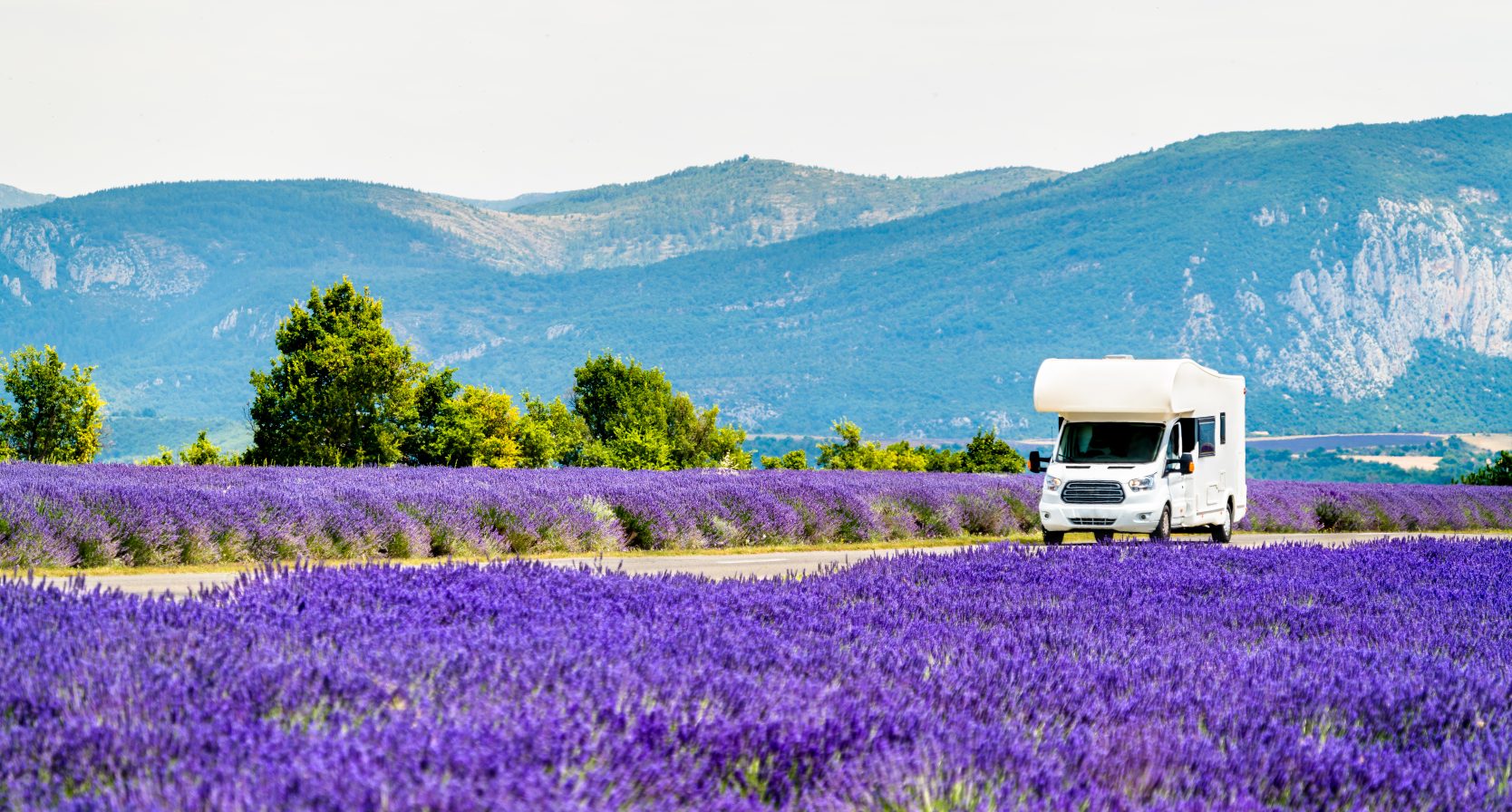 Campervan rijdt door een lavenderveld in de provance, frankrijk