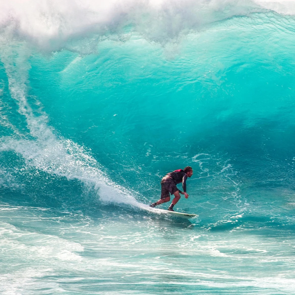 vermiste surfer levend gevonden