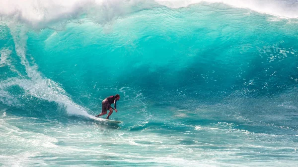 vermiste surfer levend gevonden