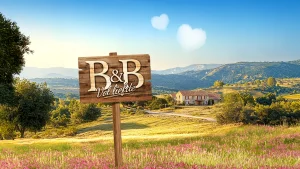 B&B promo foto seizoen 2025 Het seizoen van B&B Vol Liefde draait weer op volle toeren. Iedereen is opzoek naar de liefde, en de B&B-eigenaren storten zich volledig in het avontuur. Maar de B&B's moeten natuurlijk ook draaiende blijven, waarom zijn de 'normale gasten' eigenlijk nooit in beeld?