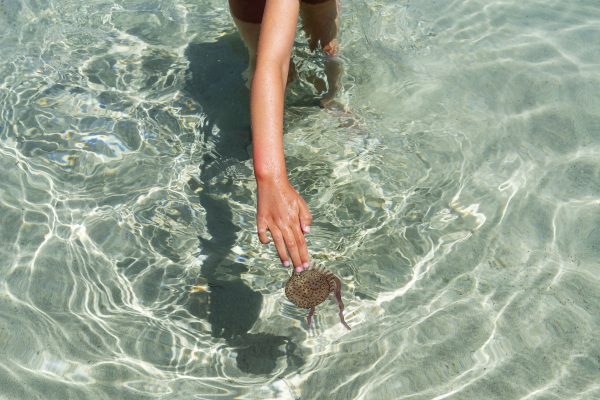 Kind en een kwal in de zee | ziek vakantie