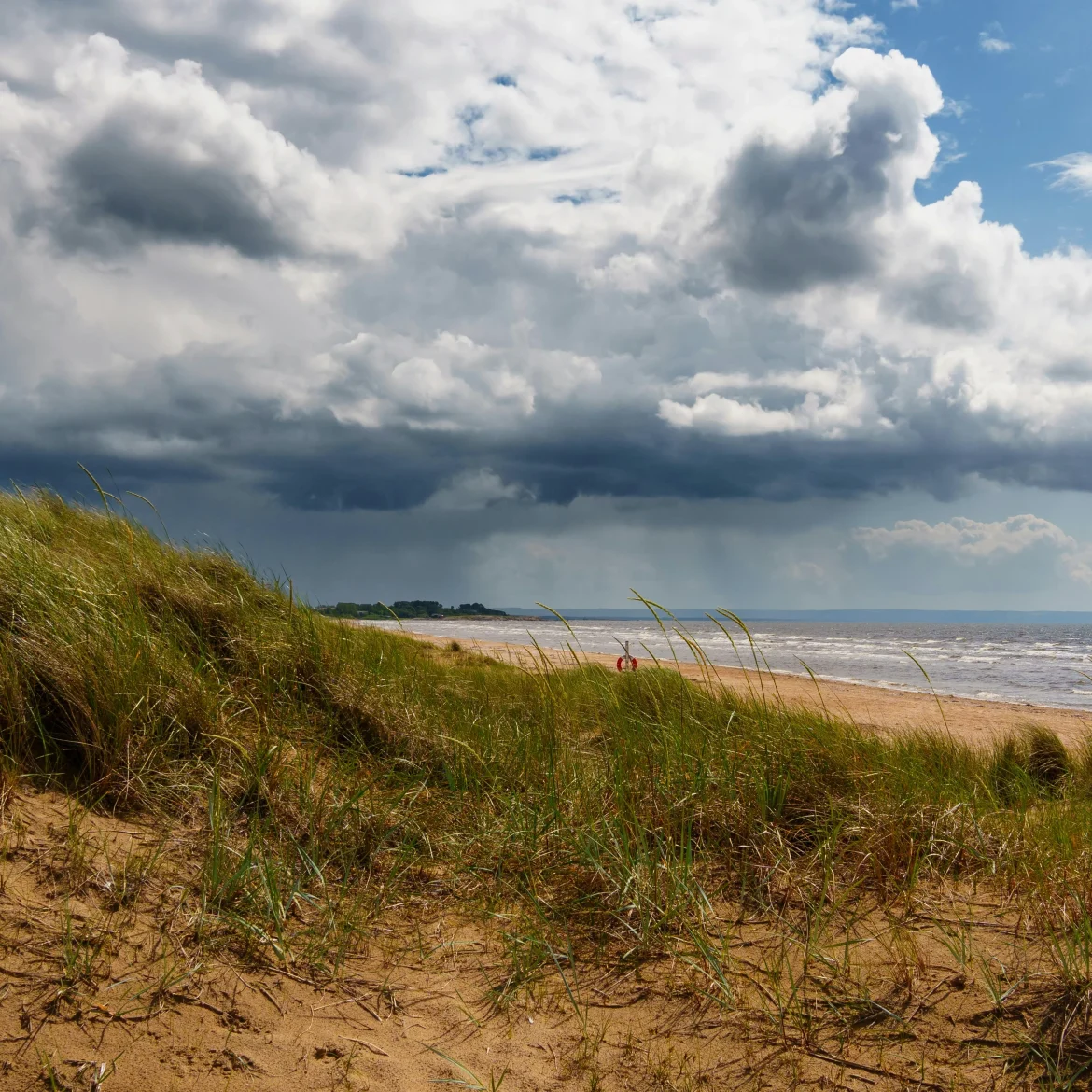 Weersverwachting zomer in Nederland